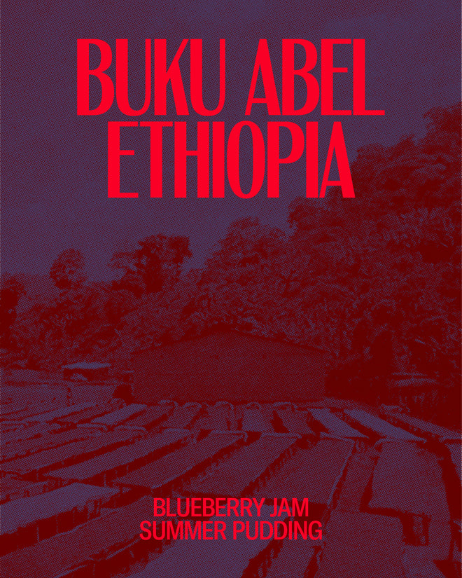 Buku Abel