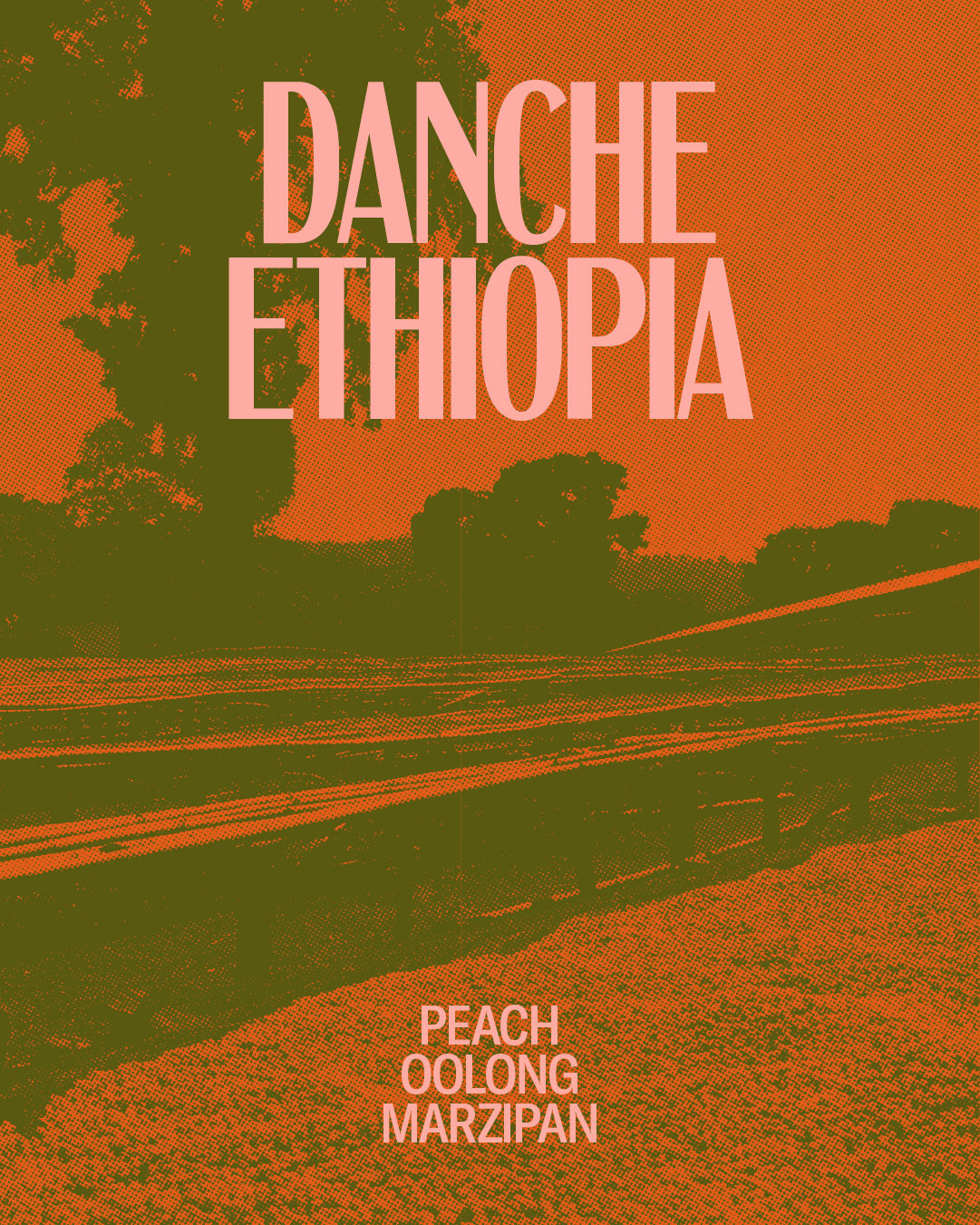 Danche packshot