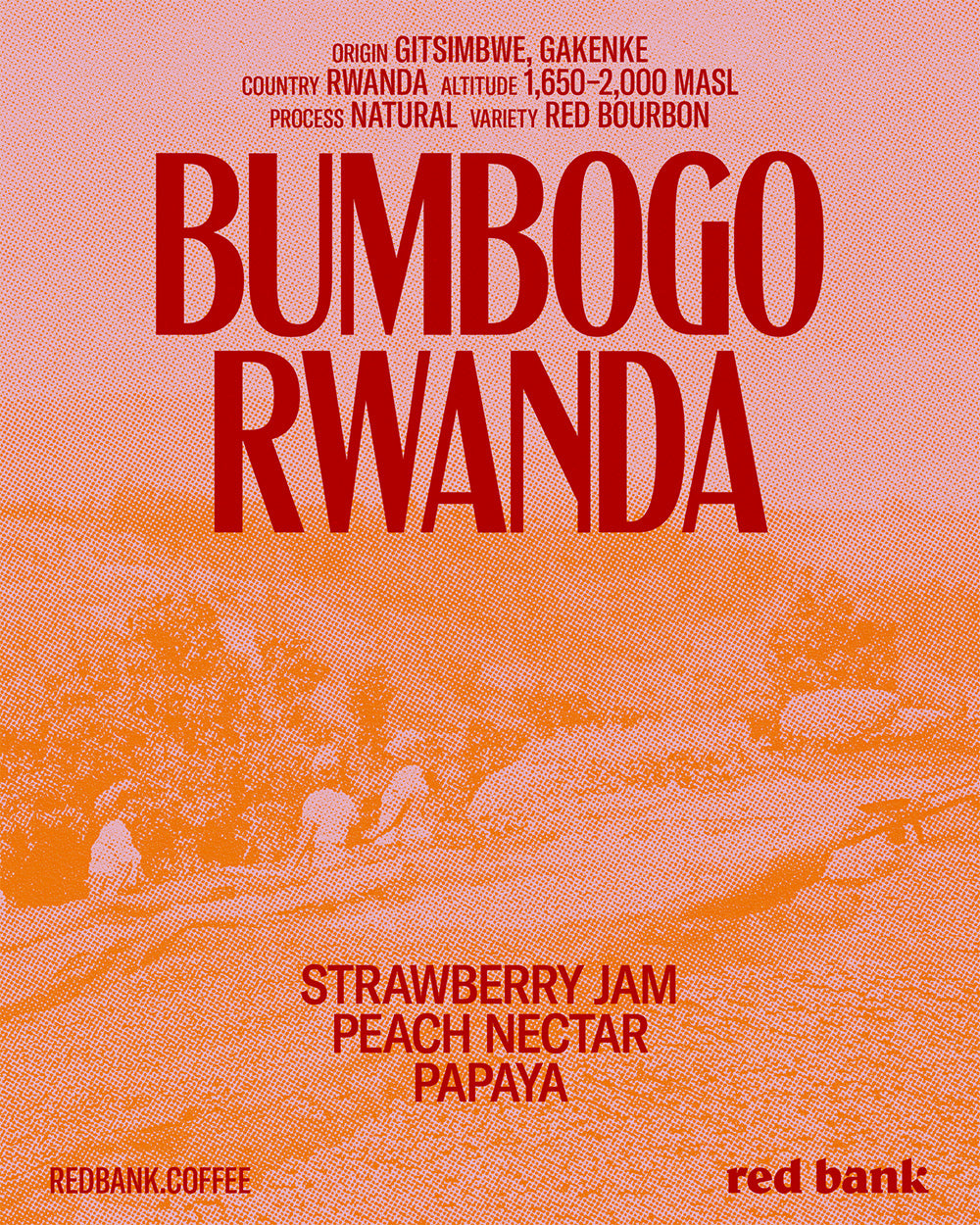 Bumbogo