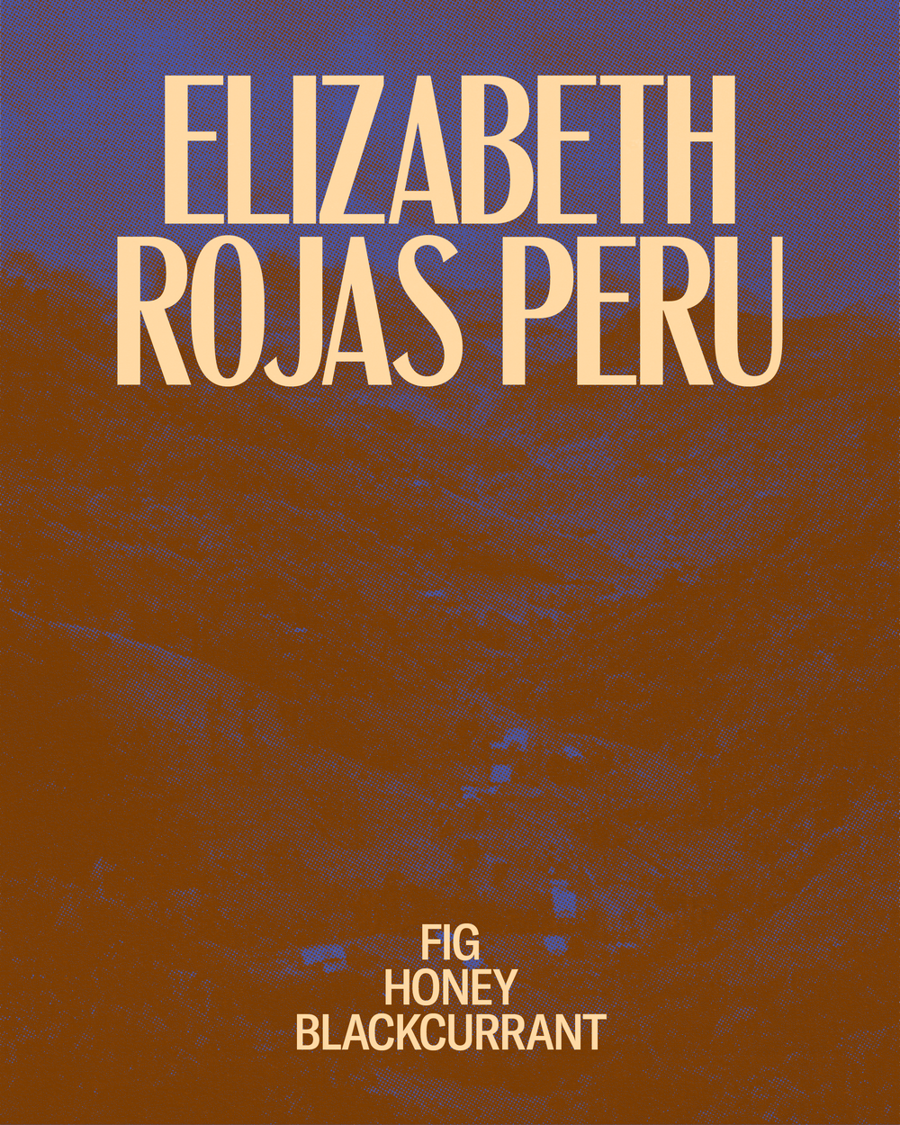 Elizabeth Rojas