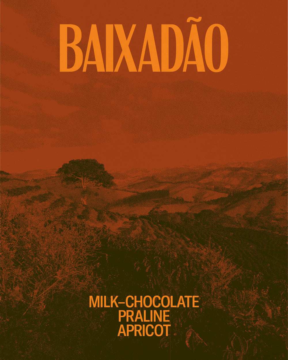 Baixadão