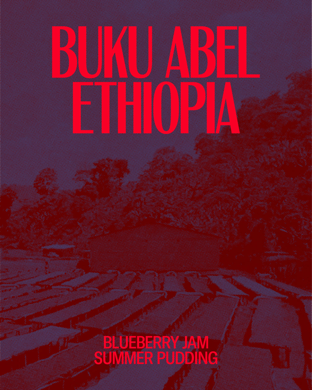 Buku Abel