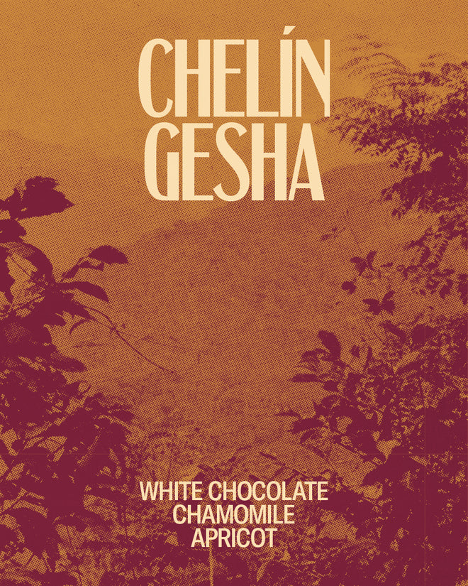 Chelín Gesha