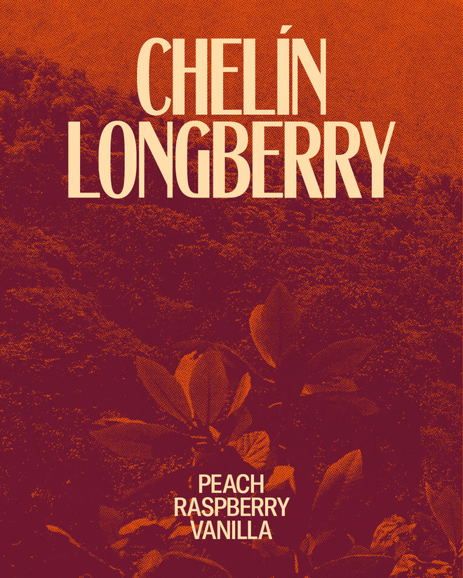 Chelín Longberry