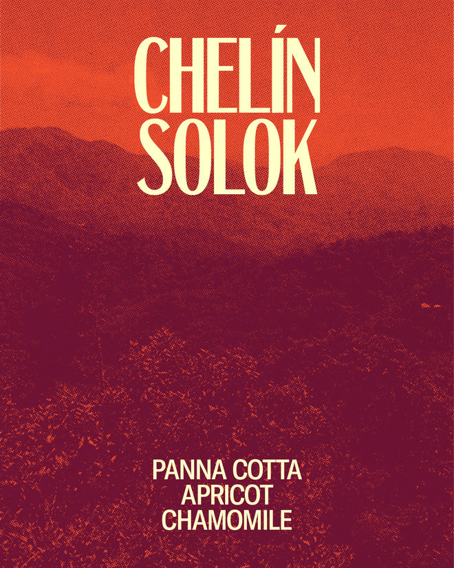 Chelín Solok
