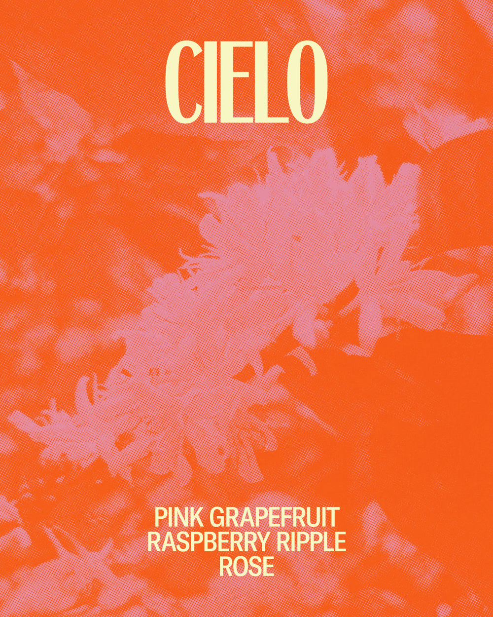 Cielo