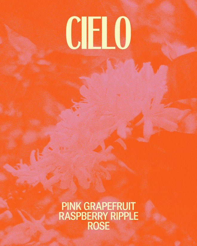 Cielo