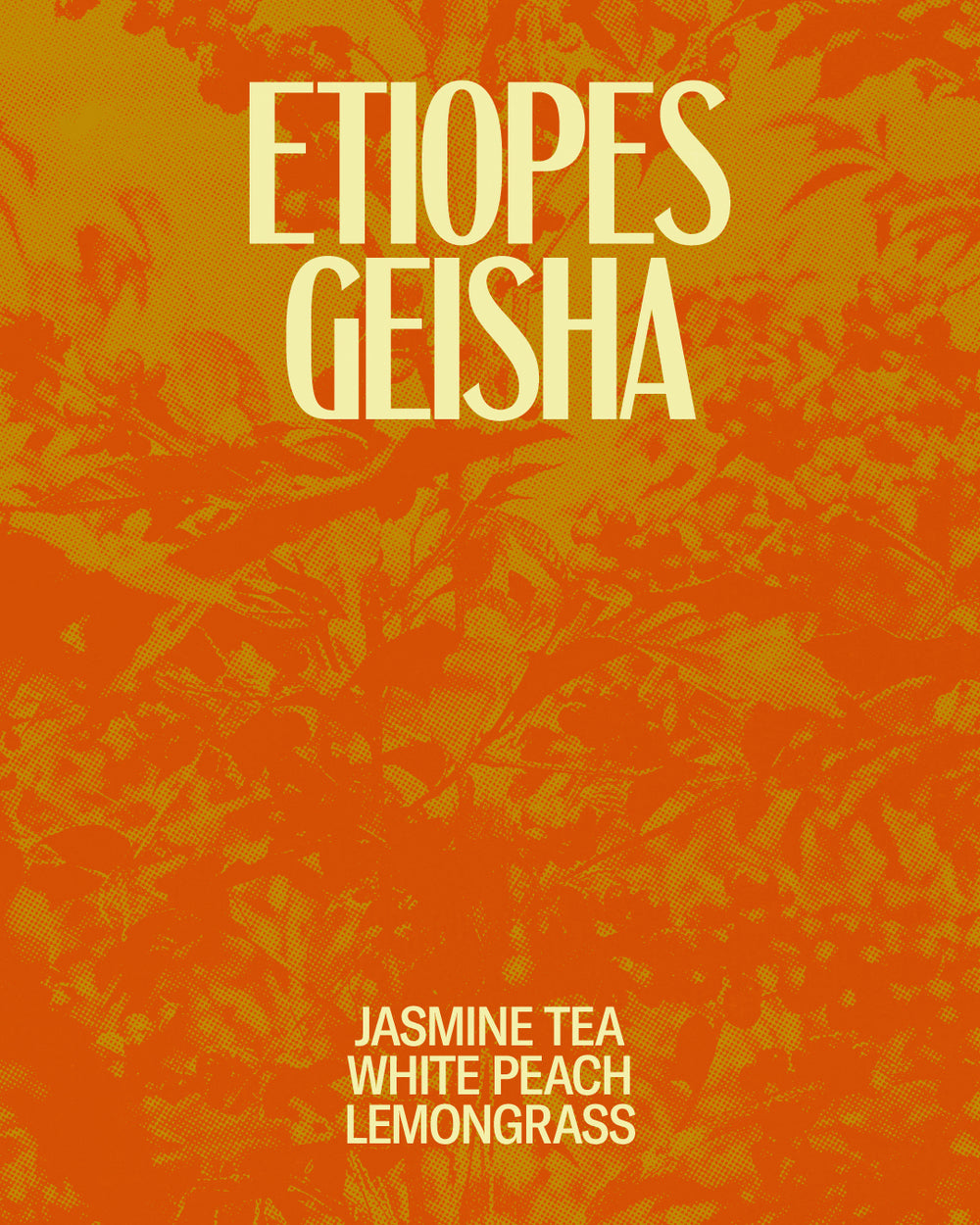 Etíopes Geisha