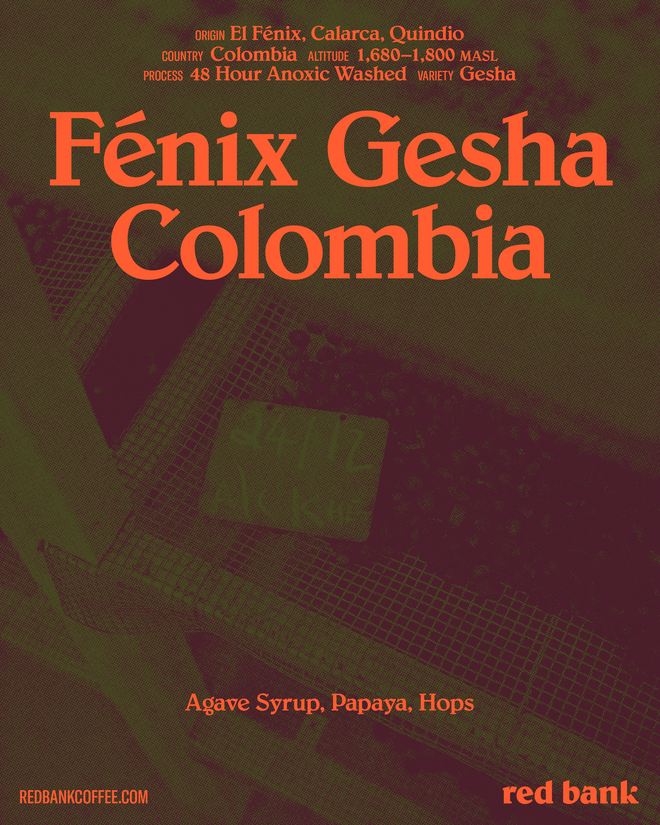 Fenix Gesha