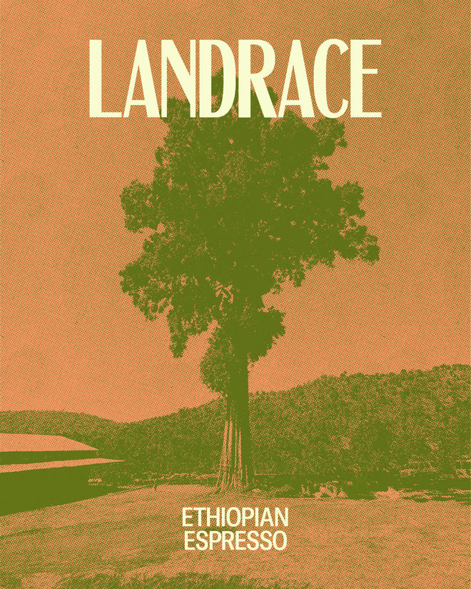 Landrace