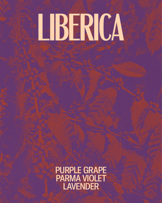 Liberica