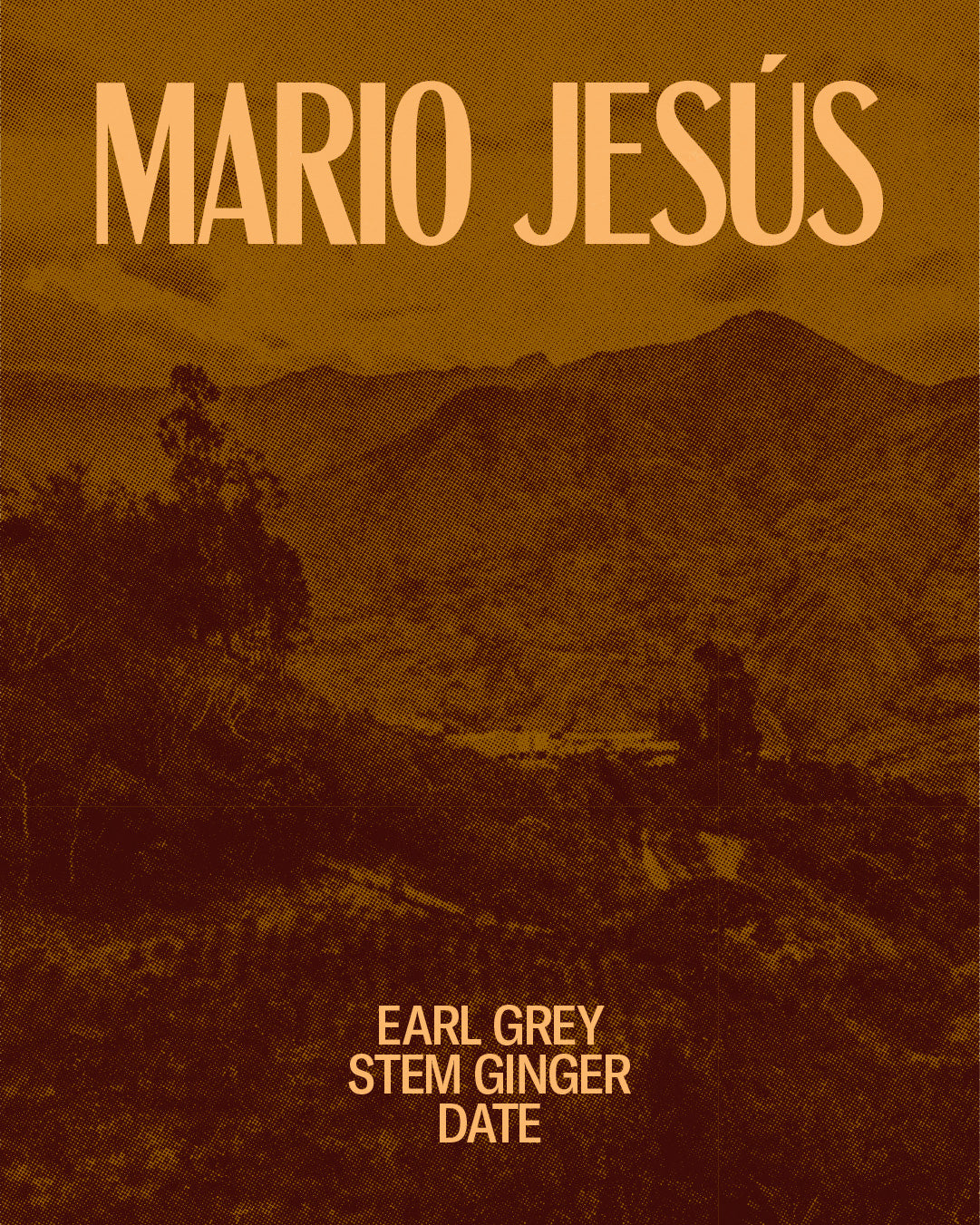 Mario Jesús