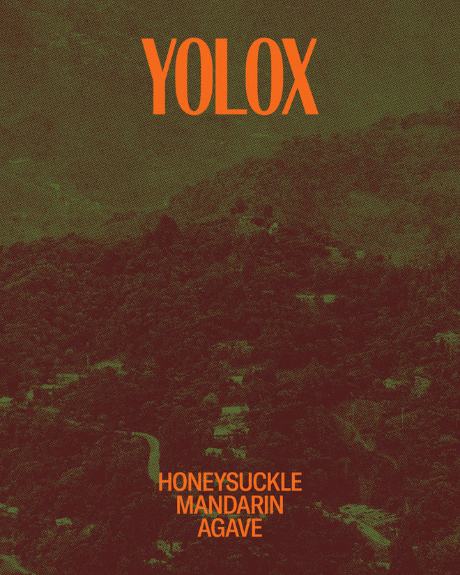 Yolox